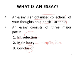   para essay structure My Social Studies Teacher