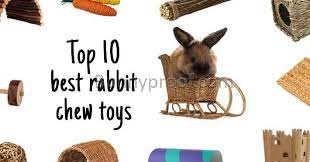top 10 best chew toys for bunnies of