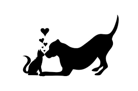 dog cat silhouette images browse 135