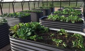 Colorbond Raised Garden Beds Roofing