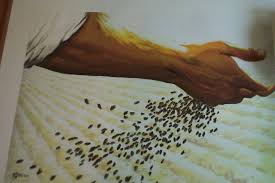 Image result for sower and the seed