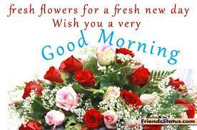 Good morning flowers for my lovely friend. Goodmorning Night Afternoon On Pinterest Good Morning Quotes Good Morning Flowers Wedding Bouquets Good Morning Picture