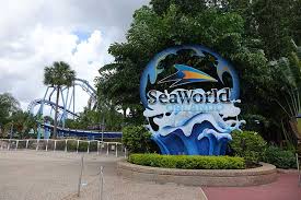our guide to seaworld orlando and busch