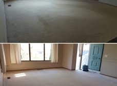 bravo carpet cleaning services mount