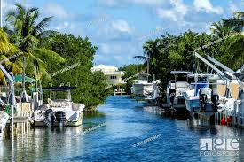 florida upper florida keys key largo