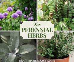 Perennial Herbs To Grow In Your Garden