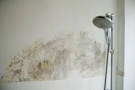 How To Get Rid Of Mold In Bathroom