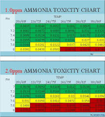 Your Guide To Ammonia Toxicity Aquarium Advice Aquarium