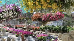 The Best Garden Centers Greenhouses