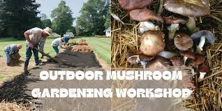 outdoor mushroom gardening work