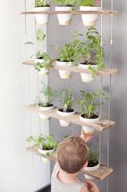 21 Stunning Indoor Wall Herb Garden