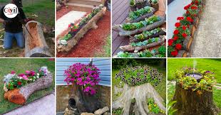 Garden Planter Out Of Old Logs