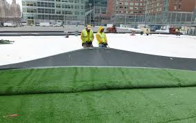 green carpet roll out on bpc fields
