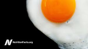 does tary cholesterol eggs raise