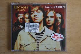 fool s garden lemon tree c250 ebay