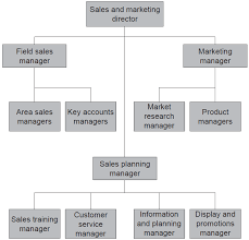 Some Typical Evolving Organization Structures In Sales