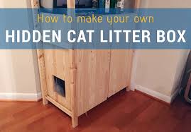 how to hidden cat litter box living