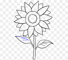 Buatlah sketsa bentuk bunga dan daun sebagaimana ditunjukkan dalam gambar. Menggambar Sketsa Seni Bunga Matahari Umum Daun Bunga Matahari Putih Pensil Daun Png Pngwing