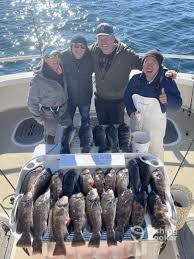 daily montauk fishing reports april 2024
