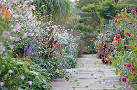 Steal From English Cottage Gardens