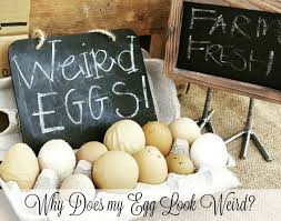 Why Does My Egg Look Weird Fresh Eggs Daily