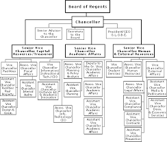 Information Digest 1998 1999 Organization Chart