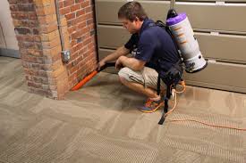 carpet cleaning for allergy sufferers