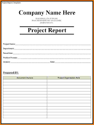 Simple Business Progress Report Template Example   Helloalive small business project report