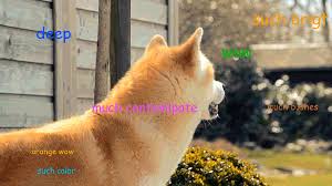 Dogecoin daily may 26, 2021 comments off. Doge Meme The Best Of Doge