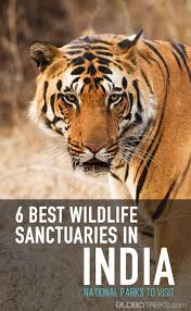 6 best wildlife sanctuaries in india