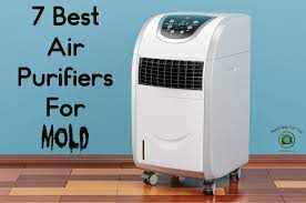 7 best air purifiers for mold mold