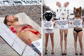 Nackt bei PETA-Demos: Warum sexy kein ...