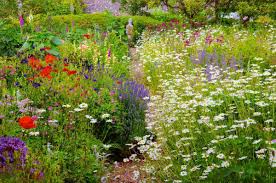 Der traum eines jeden gartenliebhabers: Cottage Garten Anlegen Mit Diesen Tipps Zur Gestaltung Bepflanzung