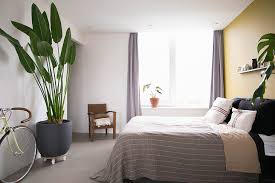 Pflanzen für das schlafzimmer außer blühpflanzen können sie alle pflanzen ins schlafzimmer stellen, welche die temperaturen um 18 °c gut vertragen, denn im schlafzimmer ist es oft kühler als in anderen zimmern. Zimmerpflanzen Fur Ein Besseres Raumklima Re Blog