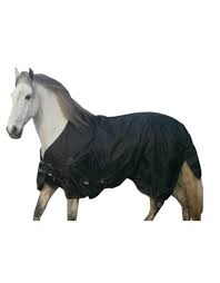 luba paardendekens luba horse blankets