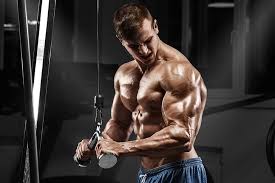 hd wallpaper pose fitness muscle