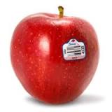 Are Gala apples firm?
