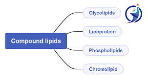lipid fatty acid clification