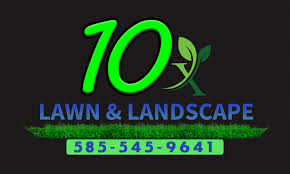 lawn care services in webster ny