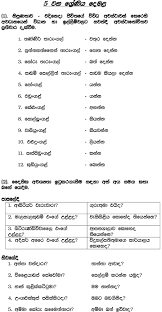 Wigneswaran in a recent speech has exhorted the tamil students to study sinhalese. Tamil In Sinhala Part 3 Lesson Reading Handcraft