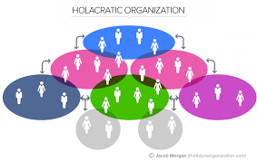 The 5 Types Of Organizational Structures Part 5 Holacratic