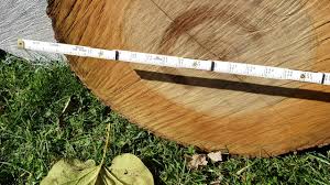 How To Measure Logs For Board Feet And Weight