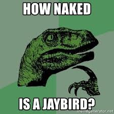 Image result for naked as a jaybird gifs