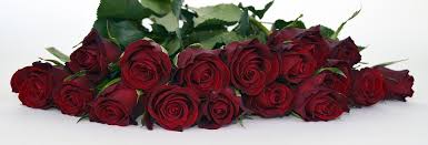 Image result for bouquet of roses