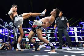 muay thai fighting styles explained 4