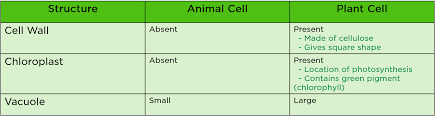All living organisms are composed of cells, from just one (unicellular) to many trillions (multicellular). Animal Vs Plant Cell Differences Similarities Expii