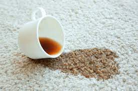 remove dried coffee stains from carpet
