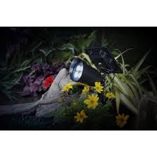 Moonrays Solar Spot Stake Light With