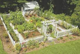 40 perfect home vegetable garden