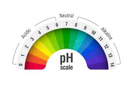 Ph Value Scale Chart Stock Vector Illustration Of Chart